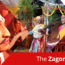 A story of Video Volunteers on Zagor, goa and youtube